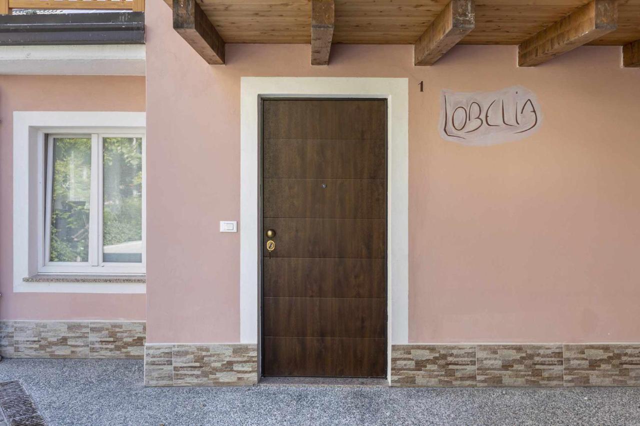 Agritur Horizon Daire Carzano  Dış mekan fotoğraf